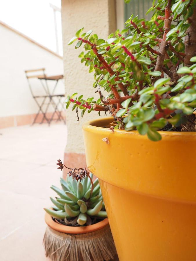 Apartaments La Rambla - Arbequina - 6 Persones Cornudella de Montsant Exterior foto